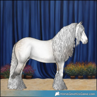 Horse Color:Gray Silver Buckskin Dun Sabino Splash 