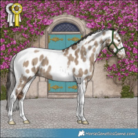 Horse Color:Liver Red Dun Tobiano Near Leopard Brindle