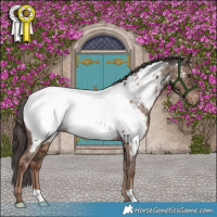 Horse Color:Liver Red Dun Near Fewspot Brindle