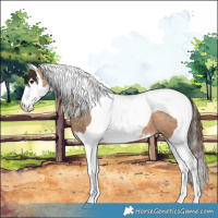 Horse Color:Bay Dun Splash Tobiano Varnish 