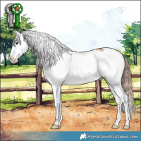 Horse Color:Red Dun Varnish 