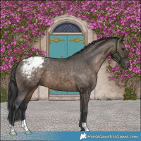 Horse Color:Brown Dun Varnish Brindle