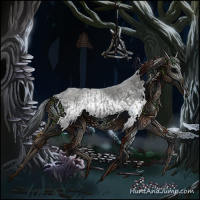 Horse Color:White Spotted Blue Roan Rabicano  and White Spotted Blue Roan Rabicano 