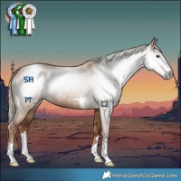 Horse Color:Gray Red Dun 