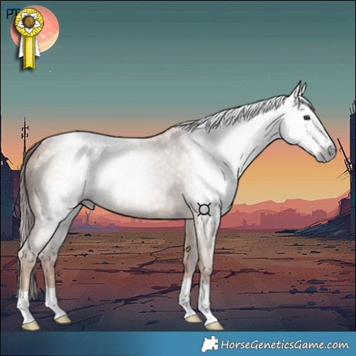 Horse Color:Gray Red Dun 