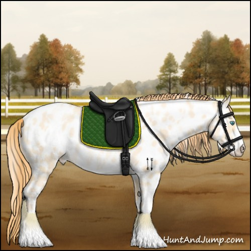 Horse Color:White Spotted Buckskin Pearl Dun Sabino Appaloosa Rabicano 