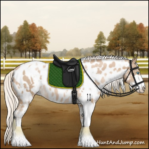 Horse Color:White Spotted Chocolate Palomino Pearl Sabino Appaloosa 