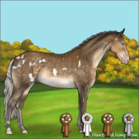 Horse Color:Gray White Spotted Silver Classic Cream Champagne Rabicano 