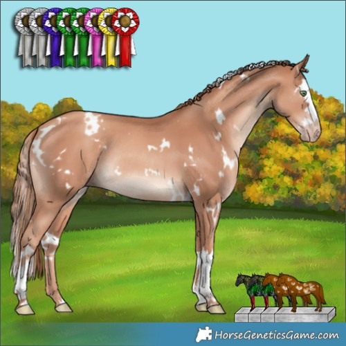 Horse Color:White Spotted Gold Champagne Splash Rabicano 