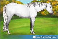 Horse Color:Gray Silver Smoky Blue Roan Rabicano 