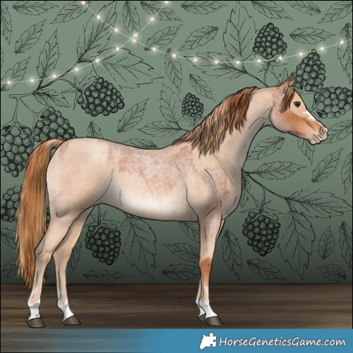 Horse Color:Red Roan  and Gold Champagne Roan 