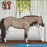 Horse Color:Liver Red Dun  and Liver Red Dun Rabicano 