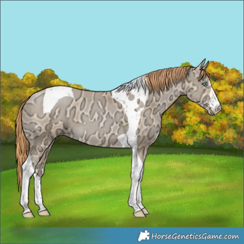Horse Color:Smoky Black Ice Pearl Tobiano 