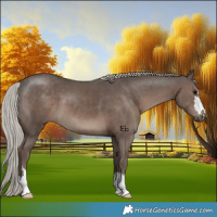 Horse Color:Silver Black 