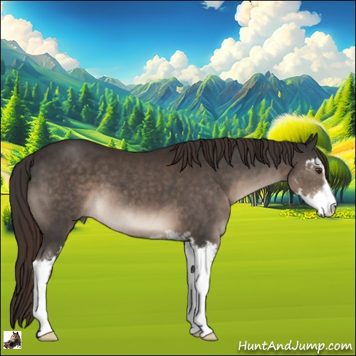 Horse Color:Liver Chestnut Sabino 