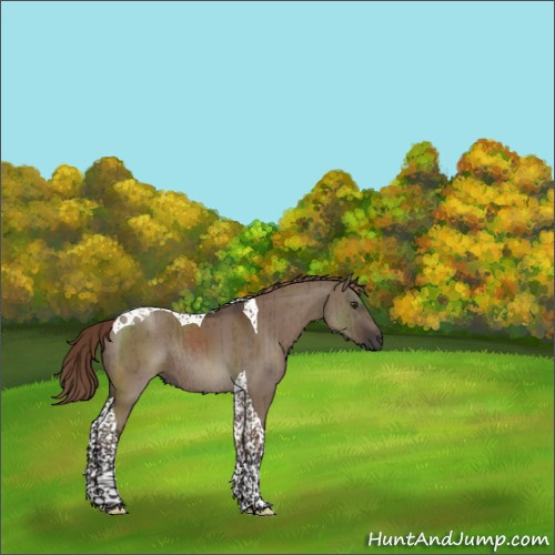 Horse Color:Liver Red Dun Tobiano Rabicano Brindle 