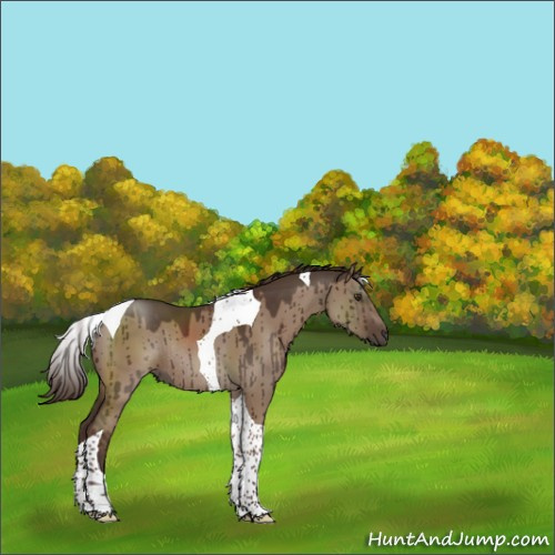 Horse Color:Liver Red Dun Tobiano Rabicano Brindle 