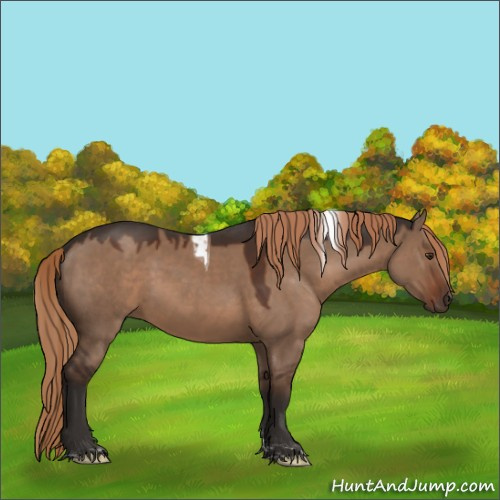 Horse Color:Liver Red Dun Tobiano Rabicano 
