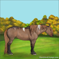 Horse Color:Liver Red Dun Tobiano Rabicano