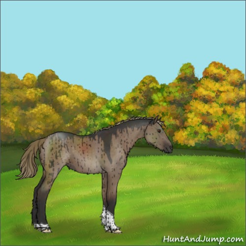 Horse Color:Liver Red Dun Tobiano Rabicano Brindle 