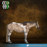 Horse Color:Liver Red Dun Tobiano Rabicano Brindle 
