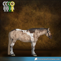Horse Color:Liver Red Dun Tobiano Rabicano Brindle