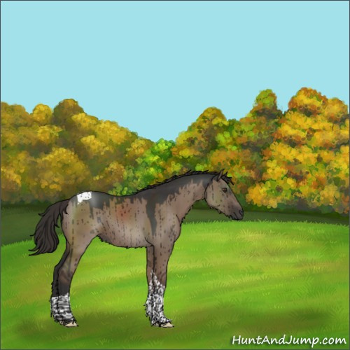 Horse Color:Liver Red Dun Tobiano Rabicano Brindle 