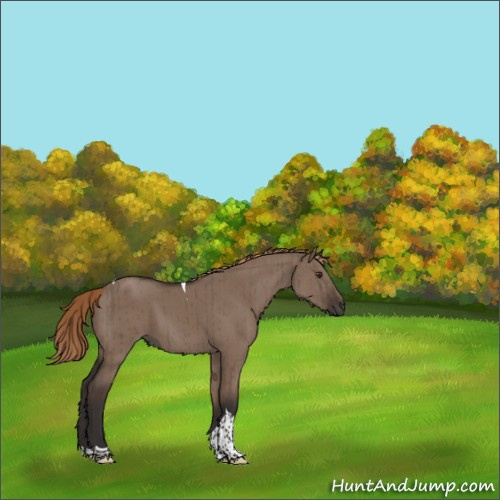 Horse Color:Liver Red Dun Tobiano Rabicano Brindle 