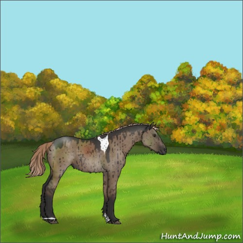 Horse Color:Liver Red Dun Tobiano Rabicano Brindle 