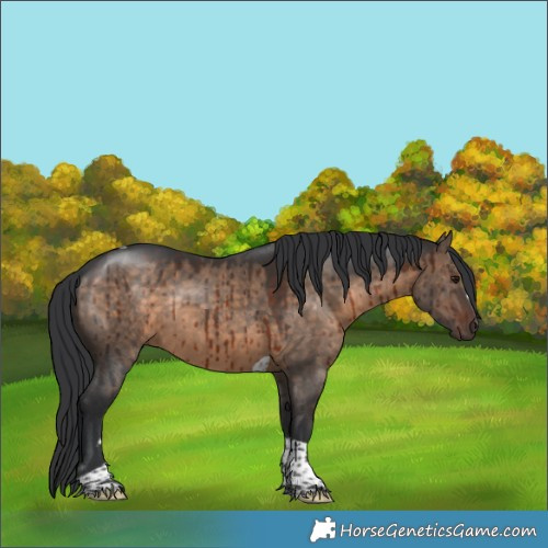 Horse Color:Brown Dun Tobiano Rabicano Brindle