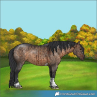 Horse Color:Brown Dun Tobiano Rabicano Brindle 