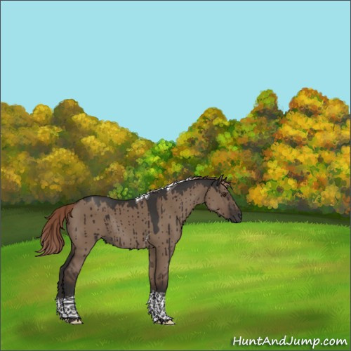 Horse Color:Liver Red Dun Tobiano Rabicano Brindle 