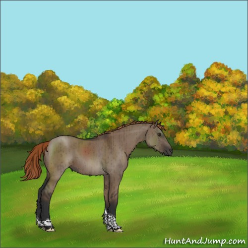 Horse Color:Liver Red Dun Tobiano Rabicano Brindle 