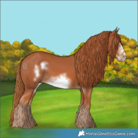 Horse Color:Chestnut Frame 