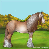 Horse Color:Gray Gold Champagne 