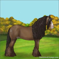 Horse Color:Gray Classic Champagne 