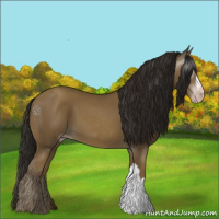 Horse Color:Gray Classic Cream Champagne 