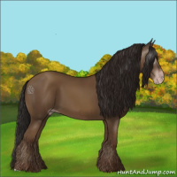 Horse Color:Gray Classic Champagne 