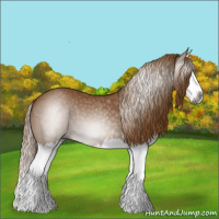 Horse Color:Gray Chestnut Splash 