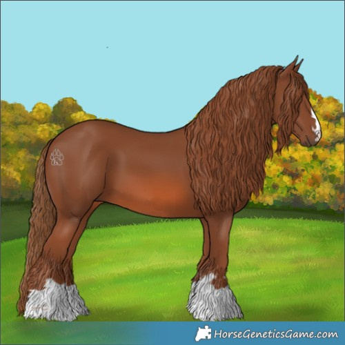 Horse Color:Chestnut 
