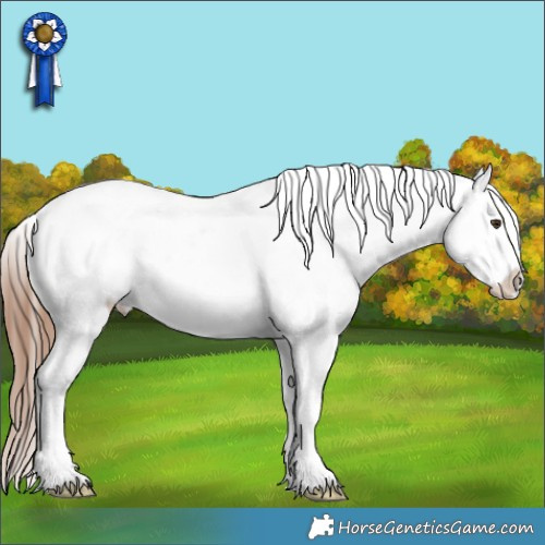 Horse Color:White Spotted Chestnut Tobiano Appaloosa 