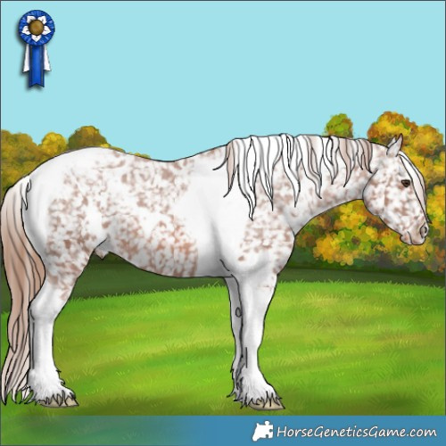 Horse Color:White Spotted Chestnut Tobiano Appaloosa 