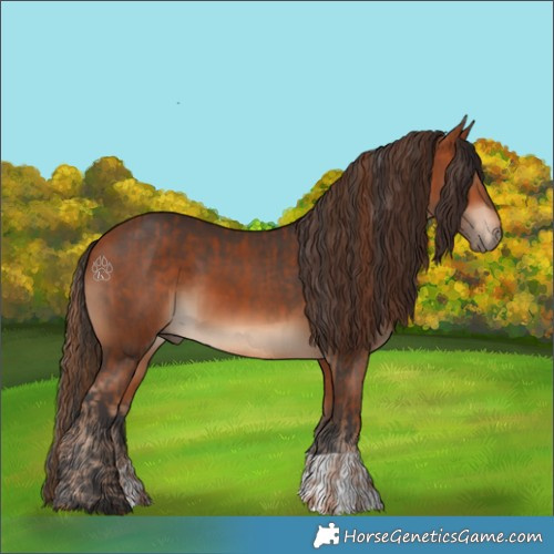Horse Color:Chestnut  and Bay 