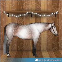 Horse Color:Gray Bay 