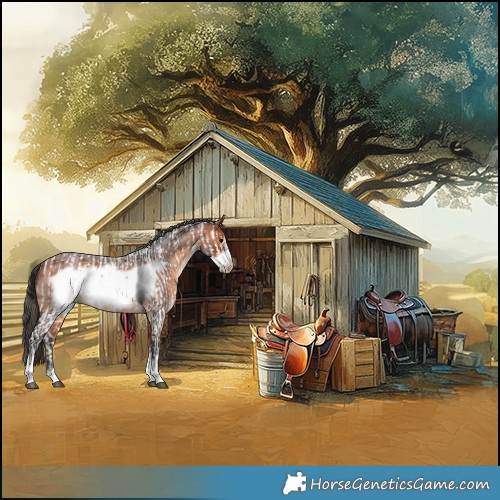 Horse Color:Brown Sabino and Bay Roan Frame