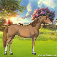 Horse Color:Chestnut Tobiano 