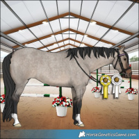 Horse Color:Brown Roan Dun 