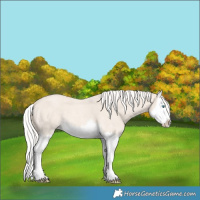 Horse Color:Cremello Roan Splash
