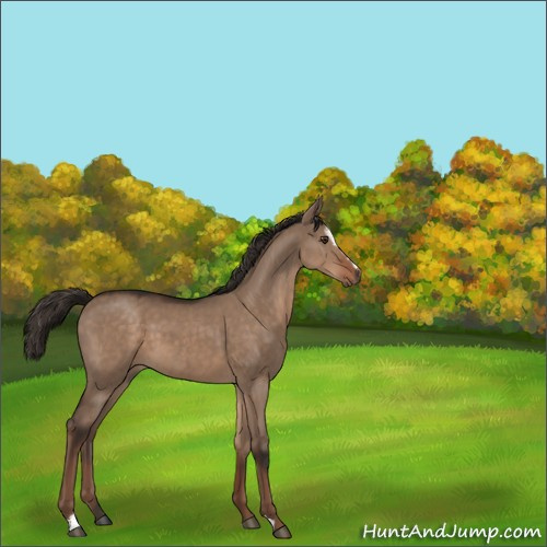 Horse Color:Liver Red Dun Sabino 