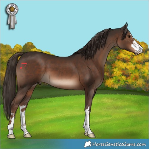 Horse Color:Liver Chestnut 